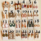 Dangles 13